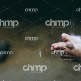 blog-grid