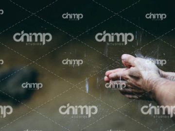blog-grid