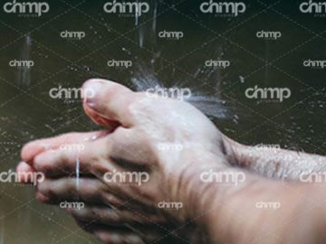 blog-grid